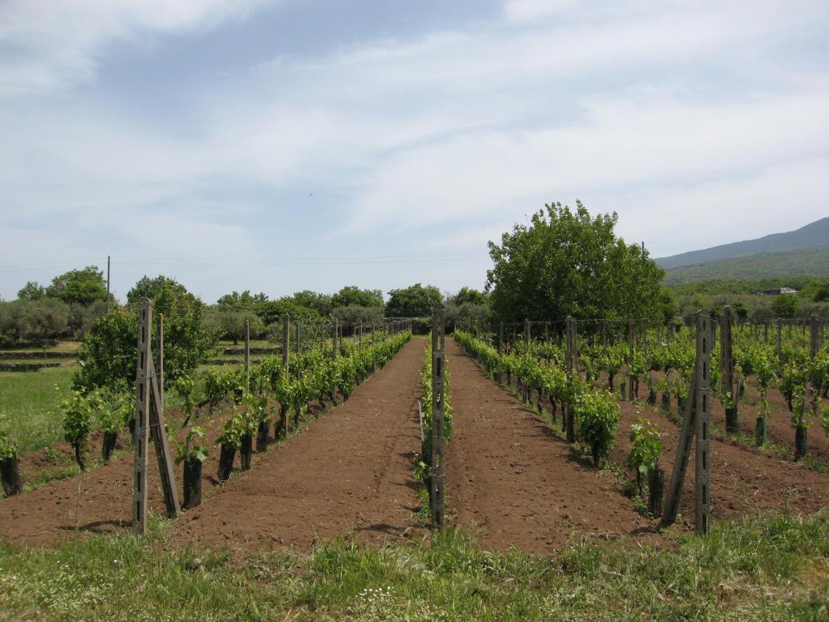 Villa VEDA Randazzo Esterno foto