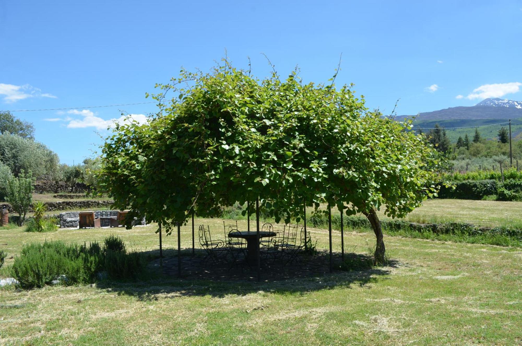 Villa VEDA Randazzo Esterno foto