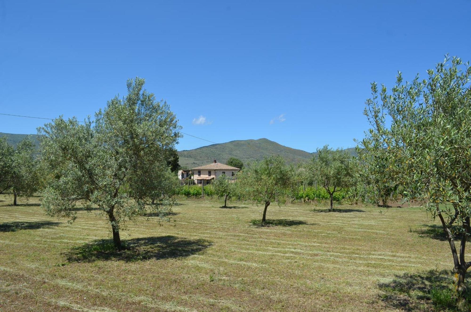 Villa VEDA Randazzo Esterno foto